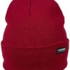 Poederbaas Beetroot Beanie